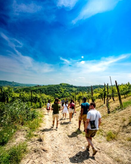“Scollinando in vendemmia” nell’Oltrepò Pavese tra vigneti e cantine del Club del Buttafuoco Storico