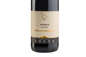 Cogno, Docg Barolo Ravera Bricco Pernice 2020