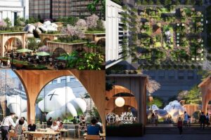 Il modello della Napa Valley fa scuola in Giappone, ma con il sakè al posto del vino