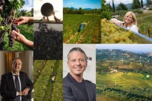 “Impressioni di vendemmia”: le voci dei territori e delle aziende d’Italia sulla raccolta 2025 “Impressioni di vendemmia”: le voci dei territori e delle aziende d’Italia sulla raccolta 2025