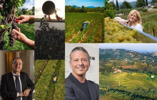 CANTINE, MERCATI, QUALITA, TERRITORI, VENDEMMIA 2025, Italia