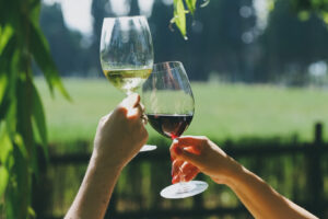 Cosa c’è di nuovo a Bolgheri? Cosa c’è di nuovo a Bolgheri?