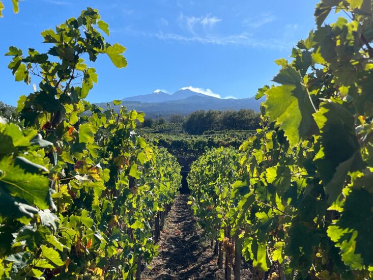 I vigneti con vista sull’Etna