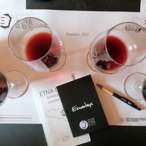 Etna: the maturity and value of Sicily’s “jewel-designation” are reflected uniformly in its wines