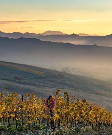 Foliage in Oltrepò Pavese (ph: Edoardo Vaccaroli)