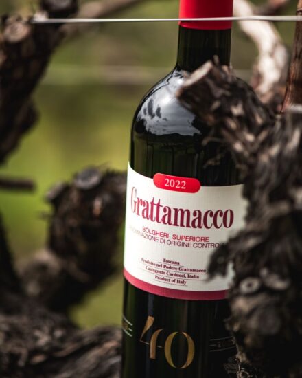 Il Grattamacco festeggia 40 vendemmie protagonista di un docufilm del regista Beppe Tufarulo dedicato a uno dei vini-icona di Bolgheri