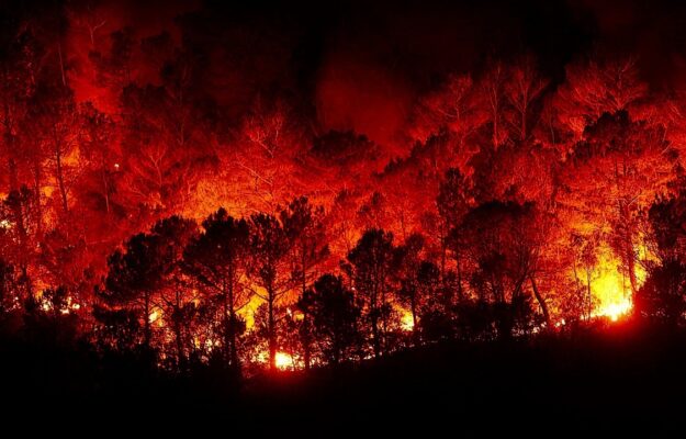 INCENDI, SUOLO, SUPERFICIE MONDIALE, Non Solo Vino