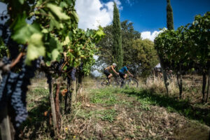 Scoprire il Morellino di Scansano in e-bike: il racconto Winenews su &ldquo;due ruote&rdquo; in Maremma