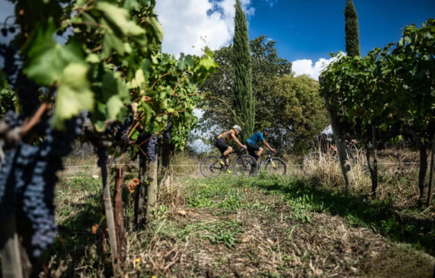 Scoprire il Morellino di Scansano in e-bike: il racconto Winenews su &ldquo;due ruote&rdquo; in Maremma