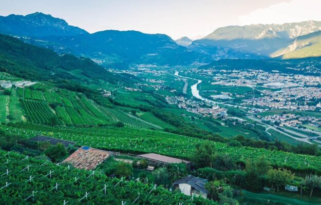 ISERA, LA VIGNA ECCELLENTE, MARZEMINO, Italia