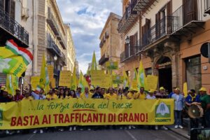 Protesta del grano, sarà la Commissione unica nazionale (Cun) a stabilire il prezzo giusto