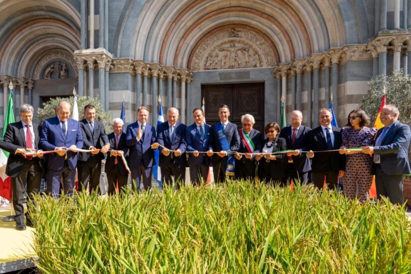 “Risò” a Vercelli (ph: Facebook/Ministero dell’Agricoltura)