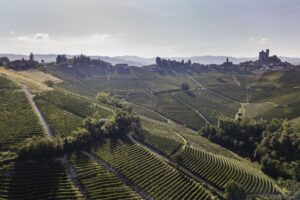 Trip to Langhe, whose portrait is enclosed in a glass of Barolo di Serralunga d’Alba 2022
