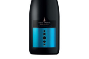 Terre d’Aenòr, Docg Franciacorta Extra Brut 2021