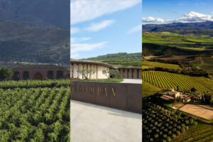 “Top 100 Wines of Italy” 2025 by Suckling: Terre Nere, Pieropan and Ciacci Piccolomini on the podium “Top 100 Wines of Italy” 2025 by Suckling: Terre Nere, Pieropan and Ciacci Piccolomini on the podium