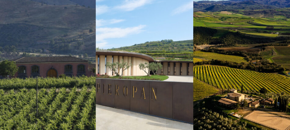 “Top 100 Wines of Italy” 2025 by Suckling: Terre Nere, Pieropan e Ciacci Piccolomini sul podio