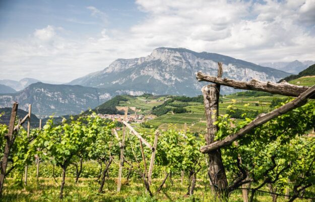 ENOGASTRONOMIA, THE DATA APPEAL COMPANY, TRENTODOC, TURISMO, TURISMO ENOGASTRONOMICO, Italia