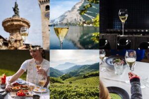 Why is mountain wine different? The answer lies in a glass of Trentodoc sparkling wine Why is mountain wine different? The answer lies in a glass of Trentodoc sparkling wine