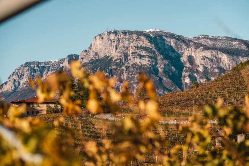 Foliage nei vigneti del Trentodoc 