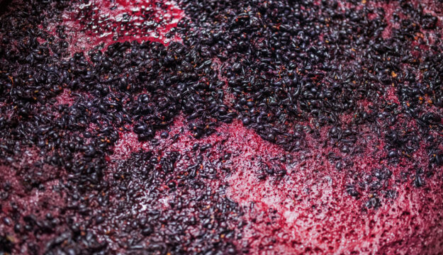 Harvest 2025, downward estimates: 44 million hectoliters, according to Legacoop Agroalimentare