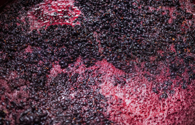 GIACENZE, LEGACOOP AGROALIMENTARE, PREVISIONI VENDEMMIALI, VENDEMMIA 2025, Italia