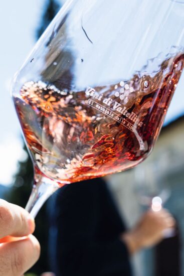 Nasce “ViVa”, nuovo evento, a Sondrio, firmato Consorzio dei Vini di Valtellina, per celebrare il territorio ed il Nebbiolo delle Alpi