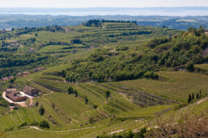 Wine, “collective” brands of Valpolicella will be of property of Consorzio Vini Valpolicella Wine, “collective” brands of Valpolicella will be of property of Consorzio Vini Valpolicella