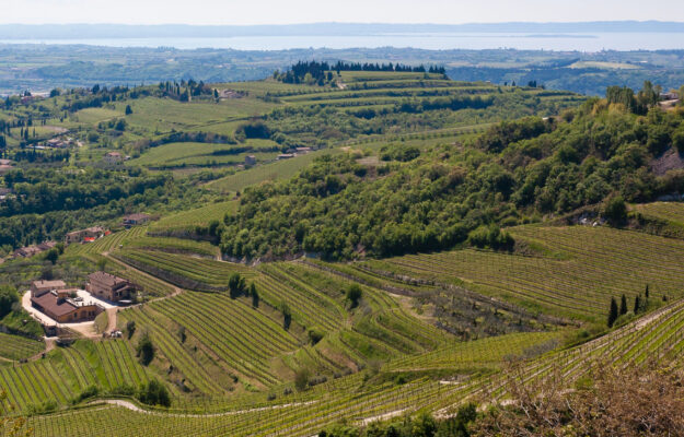 ADOLFO URSO, AMARONE DELLA VALPOLICELLA, CAMERA DI COMMERCIO DI VERONA, CHRISTIAN MARCHESINI, CONSORZIO VINI VALPOLICELLA, MARCHI COLLETTIVI, MINISTRO DELLE IMPRESE E DEL MADE IN ITALY, RECIOTO, RIPASSO, VALPOLICELLA, Italia