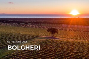 I Quaderni di WineNews - Bolgheri