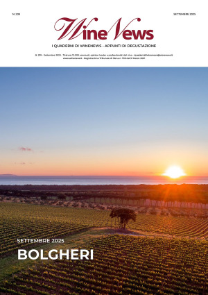 I Quaderni di WineNews - Bolgheri