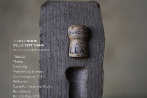 I Vini di WineNews - N. 379