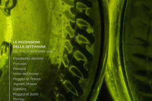 I Vini di WineNews - N. 381