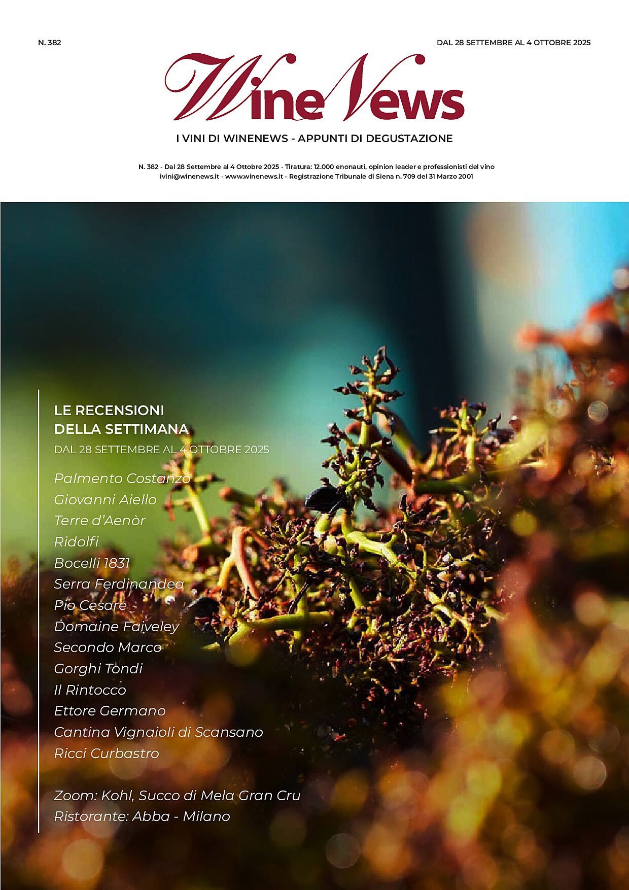 I Vini di WineNews