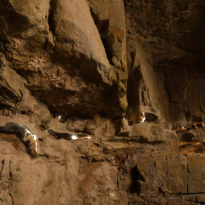 Bruno Corà: “art and wine share alchemical aspect of transformation”