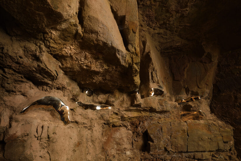 “Vene d’Oro del Pensiero Magmatico” di Bizhan Bassiri