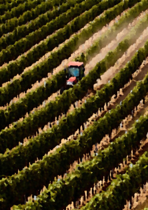 Coro unanime degli agricoltori italiani sulla Pac: &ldquo;no al cofinanziamento dei fondi&rdquo;