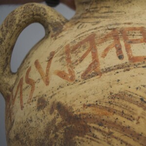 Il Muvit, il Museo del vino più importante d’Italia, a Torgiano, lo racconta come “dono degli dèi”