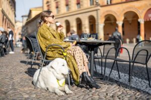 Italiani pet-friendly: 4 su 10 portano il proprio cane o il proprio gatto al ristorante Italiani pet-friendly: 4 su 10 portano il proprio cane o il proprio gatto al ristorante