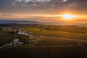 Italia-Romania, un legame culturale e gastronomico, che si celebra anche con il vino Italia-Romania, un legame culturale e gastronomico, che si celebra anche con il vino