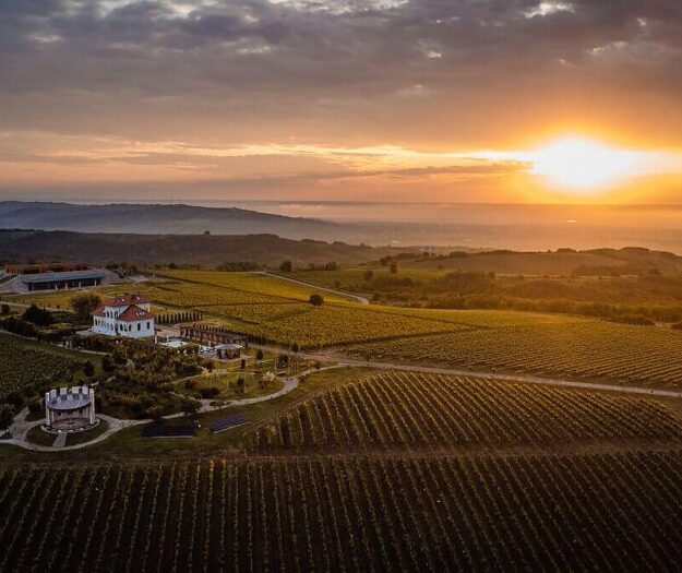 Italy-Romania, a cultural and food bond, and which is celebrated also with wine