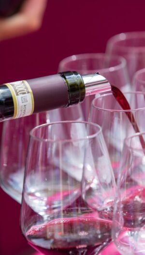 Dal “Barbera d’Asti Wine Festival” al film “Il vino in Alto Adige: la storia di una rinascita”