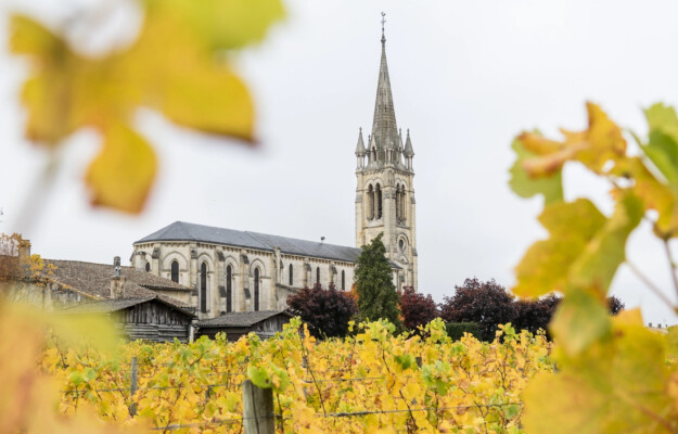 Bordeaux, ESTIRPAZIONE VIGNETI, FRANCIA, GIRONDA, VINO FRANCESE, Mondo