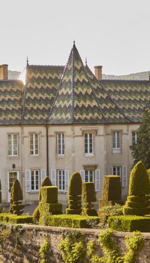 Artémis Domaines (famiglia Pinault) “sdoppia” una cantina storica e crea Domaine des Cabottes