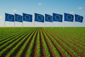 Ue, oltre 7 italiani su 10 contro i tagli a welfare e agricoltura per finanziare le spese militari Ue, oltre 7 italiani su 10 contro i tagli a welfare e agricoltura per finanziare le spese militari