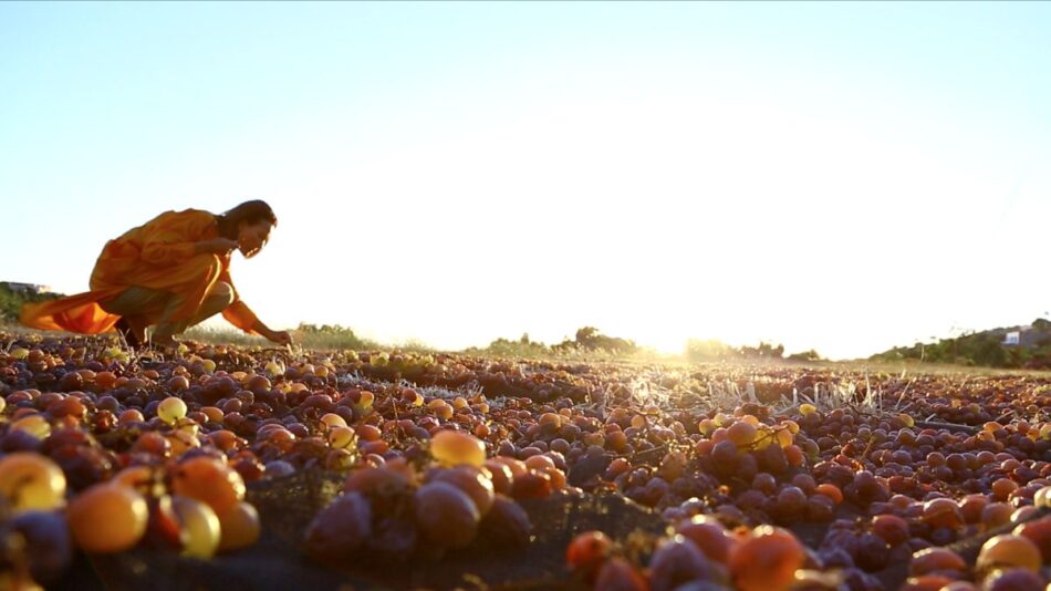 Carole Bouquet a Pantelleria