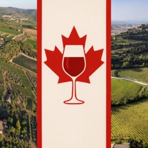 Chianti Classico e Vino Nobile di Montepulciano investono sul Canada, con l’Ithq