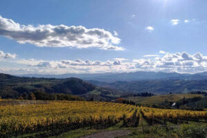 Il Consorzio Chianti Rufina entra nella “Global Artisan Vintners Alliance” (Global Ava) Il Consorzio Chianti Rufina entra nella “Global Artisan Vintners Alliance” (Global Ava)