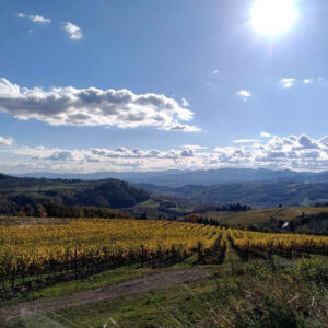 Il Consorzio Chianti Rufina entra nella “Global Artisan Vintners Alliance” (Global Ava)