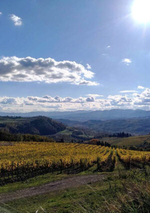 Il Consorzio Chianti Rufina entra nella “Global Artisan Vintners Alliance” (Global Ava)