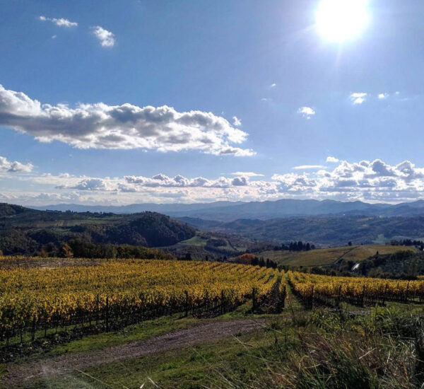 Il territorio del Chianti Rufina